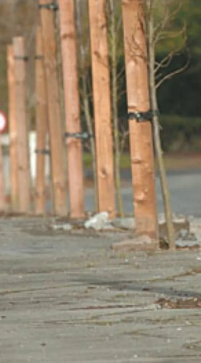 Tree Stakes and Landscaping Stakes - Image 2