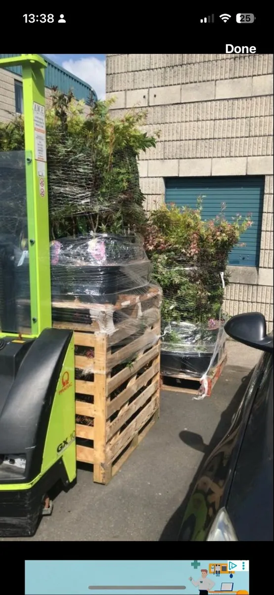 GARDEN SERVICES AND HEDGE PLANTING - Image 3