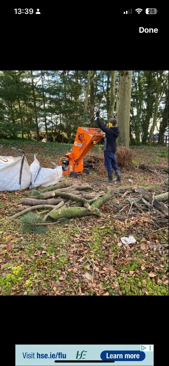 GARDEN SERVICES AND HEDGE PLANTING - Image 4