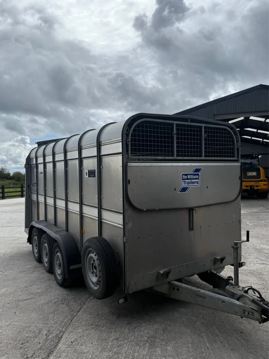 Ifor Williams cattle trailer