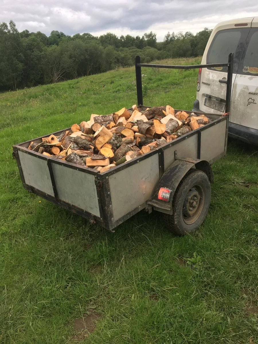 Firewood Sticks Logs - Image 1