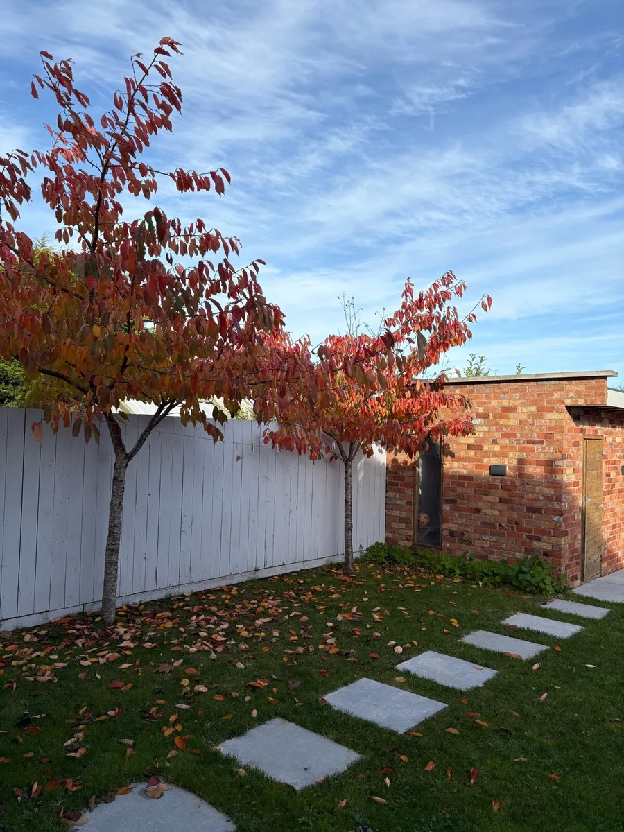 Porcelain tiling, Garden renovation, bricklaying - Image 1
