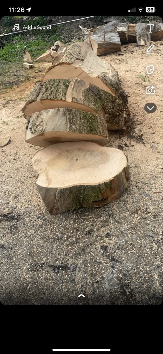 Firewood 🔥🪵 - Image 3