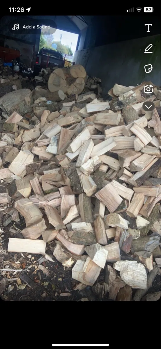 Firewood 🔥🪵 - Image 4