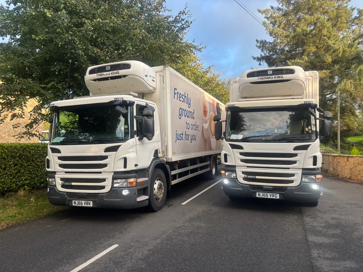 Scania p250 - Image 1