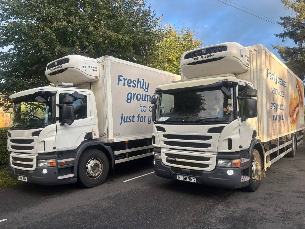 Scania p250 - Image 2