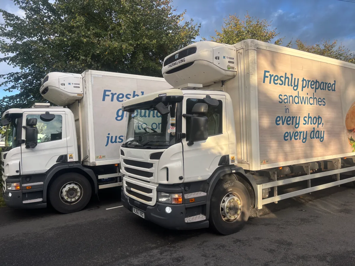 Scania p250 - Image 3