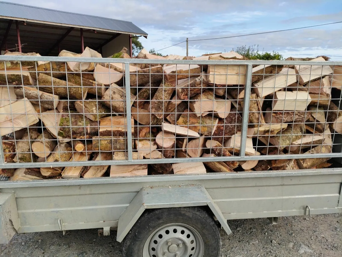 Firewood - Image 4
