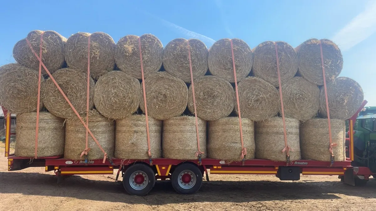 2025 Hay and straw delivered - Image 3