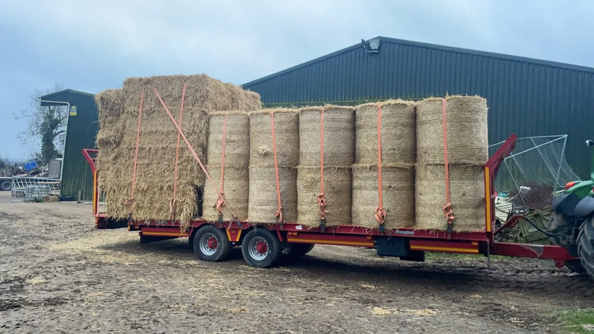 2025 Hay and straw delivered - Image 1