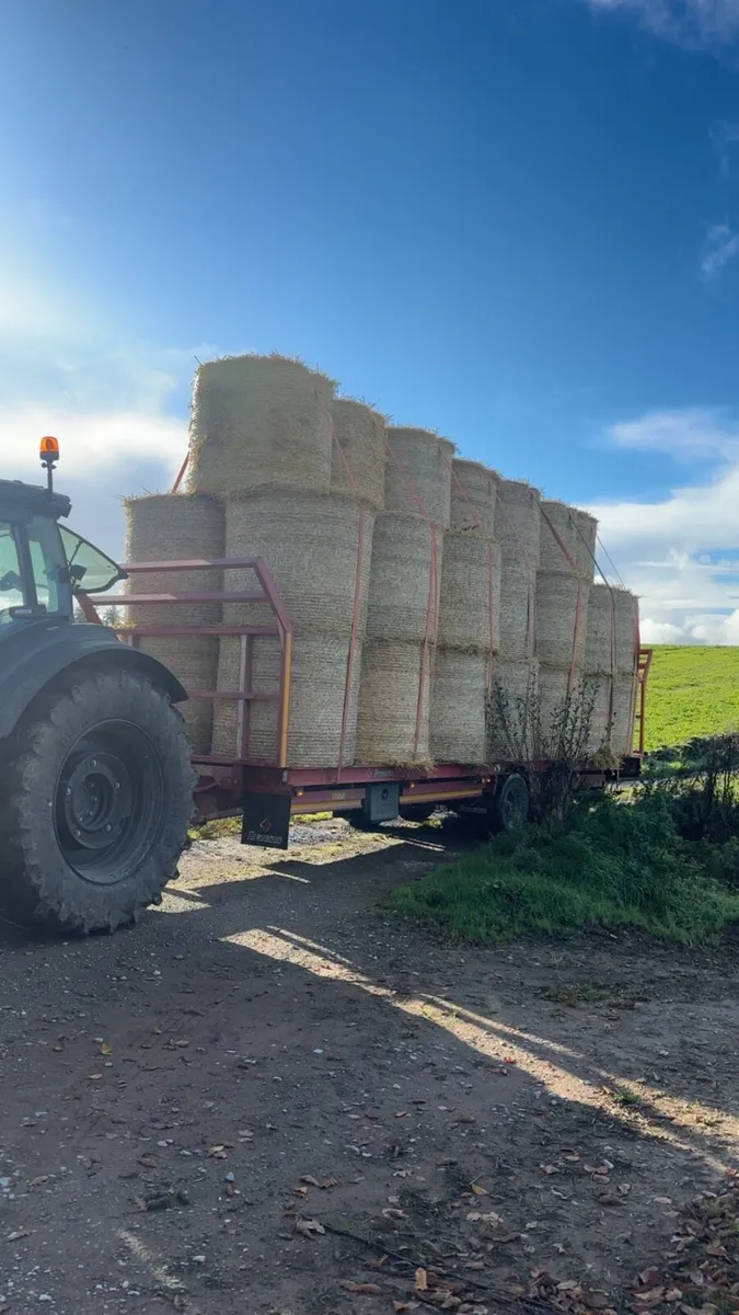 2025 Hay and straw delivered - Image 4