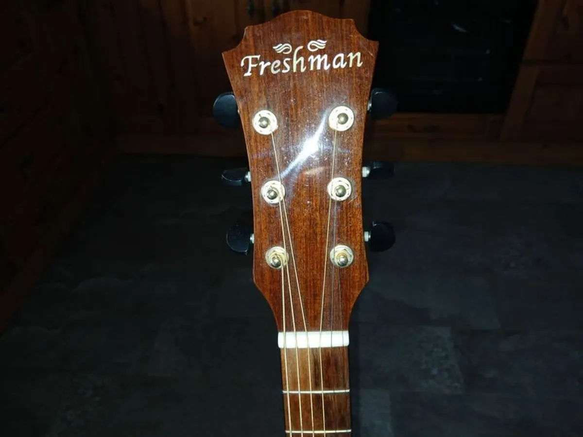 Freshman FA400D acoustic guitar - Image 2