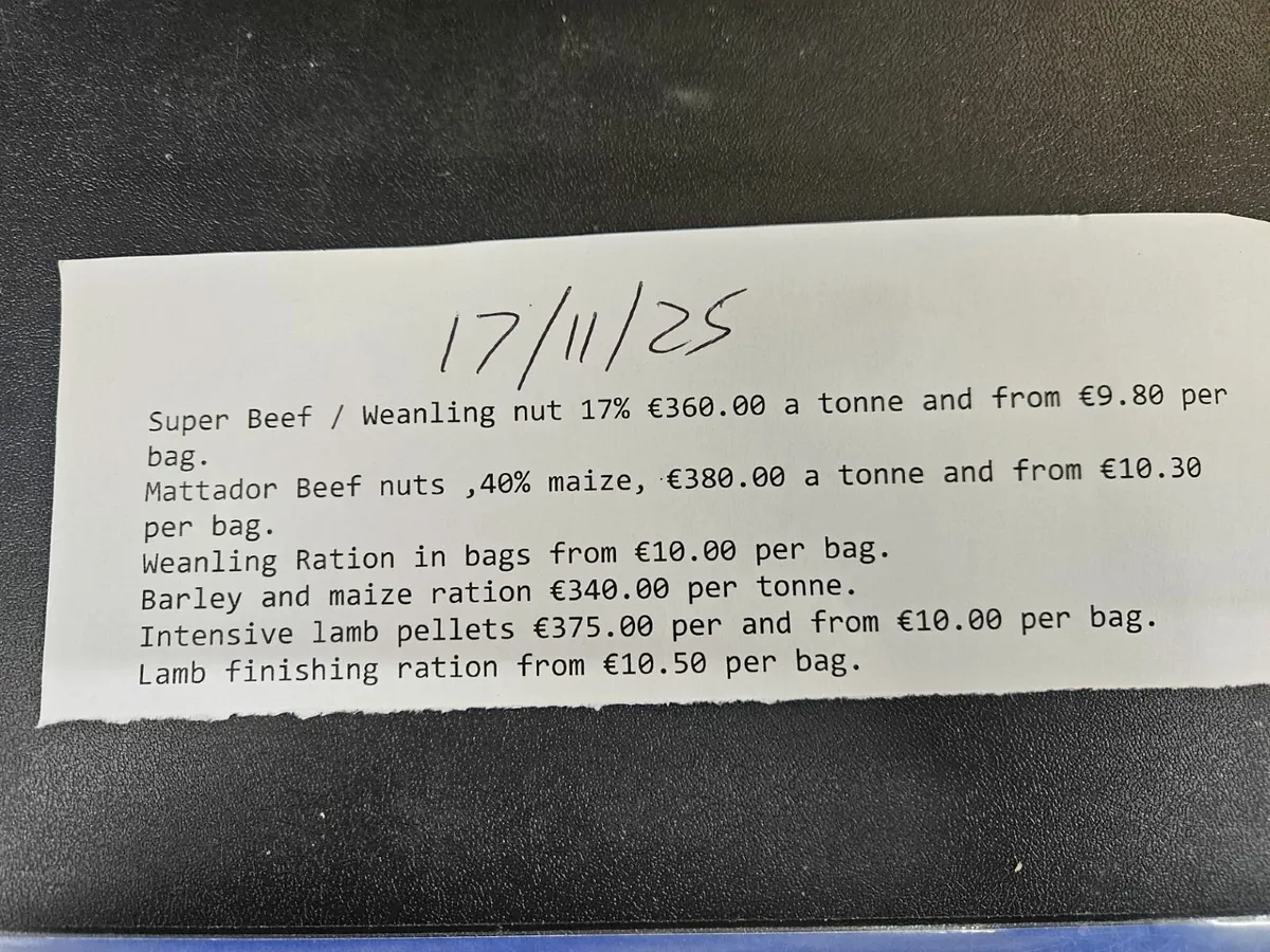 Hay Straw, Biggest in the west. - Image 2