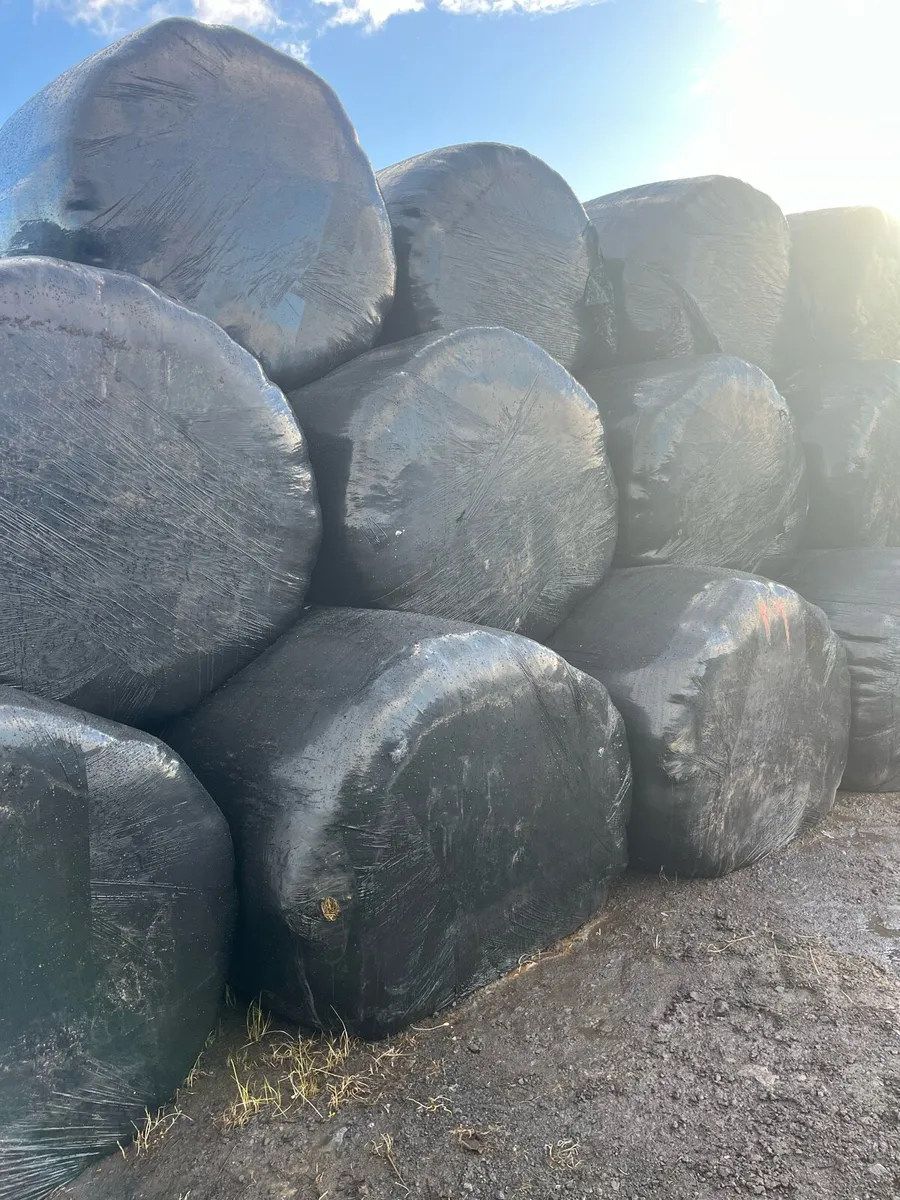 Silage and Haylage - Image 2