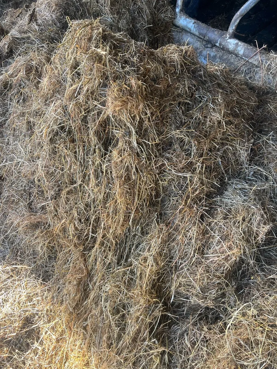 Silage and Haylage - Image 3