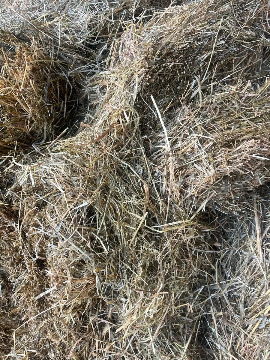 Silage and Haylage - Image 4