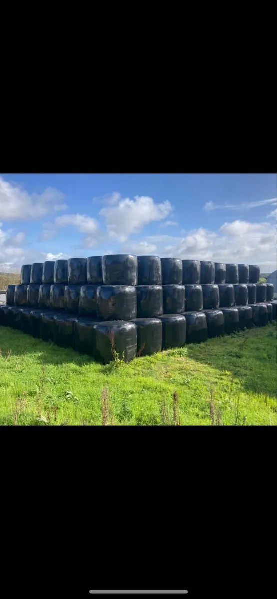 Silage and Haylage - Image 1