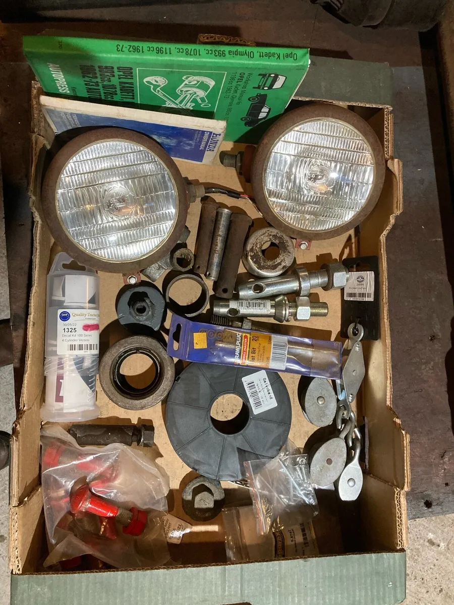 Shed clear out - Image 1