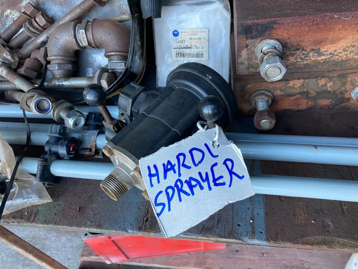 Shed clear out - Image 3