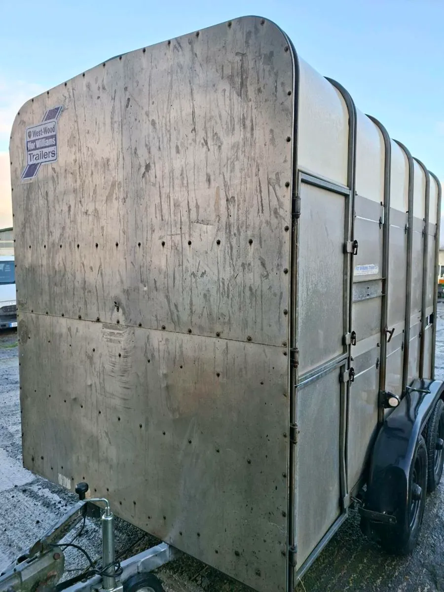 Ifor Williams 10x6 high roof cattle trailer - Image 2
