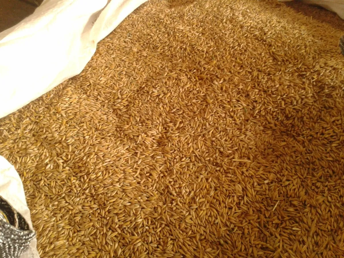 Oats, Rolled Barley and Wheat - Image 1
