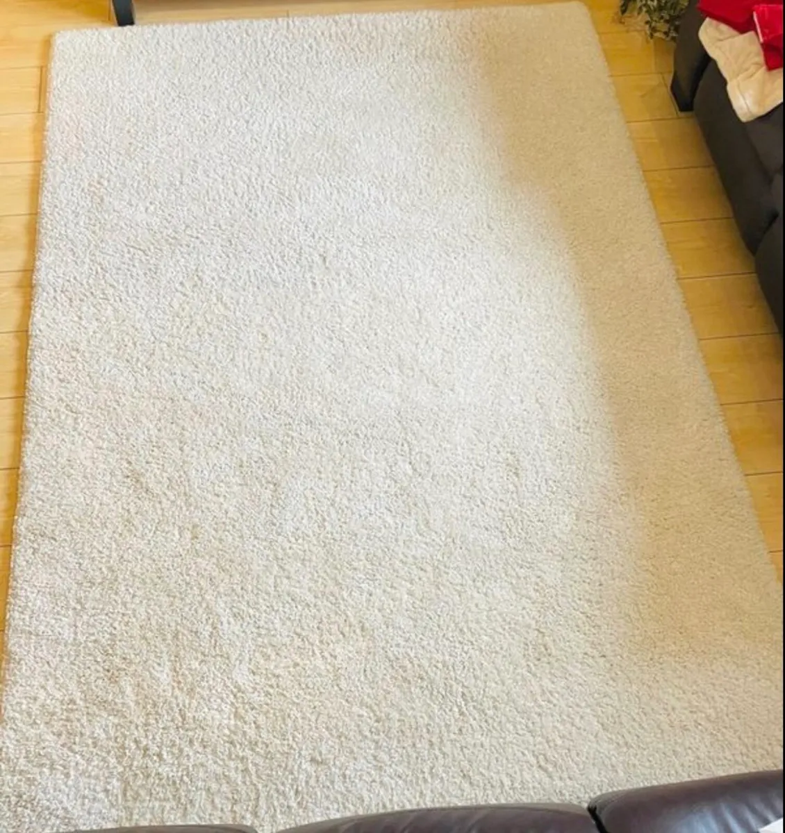Beautiful Cream Rug – 160x230cm - Image 3