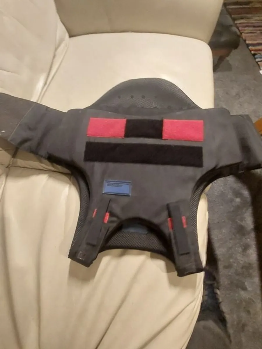 Body protector - Image 1