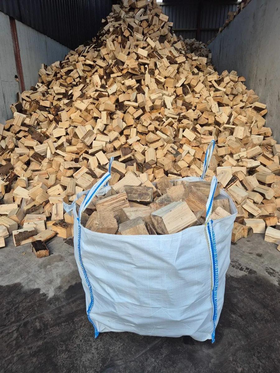 Firewood - Image 1