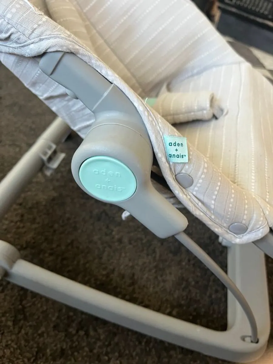 Aden + Anais 3-in-1 Infant to Toddler Seat - Image 3