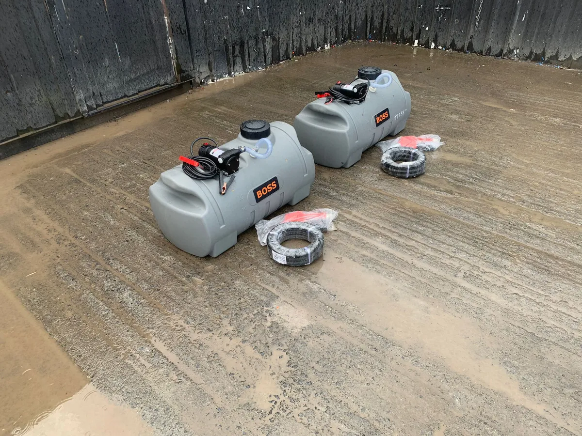 100L Boss Bowser - Image 1