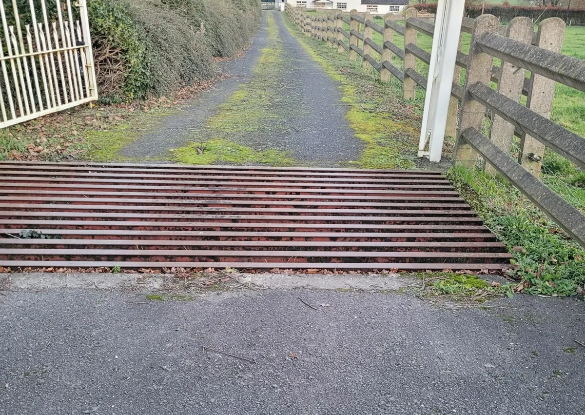 Contract Cleaning - Moss Removal - Image 2