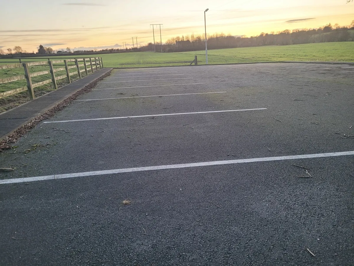 Contract Cleaning - Moss Removal - Image 4