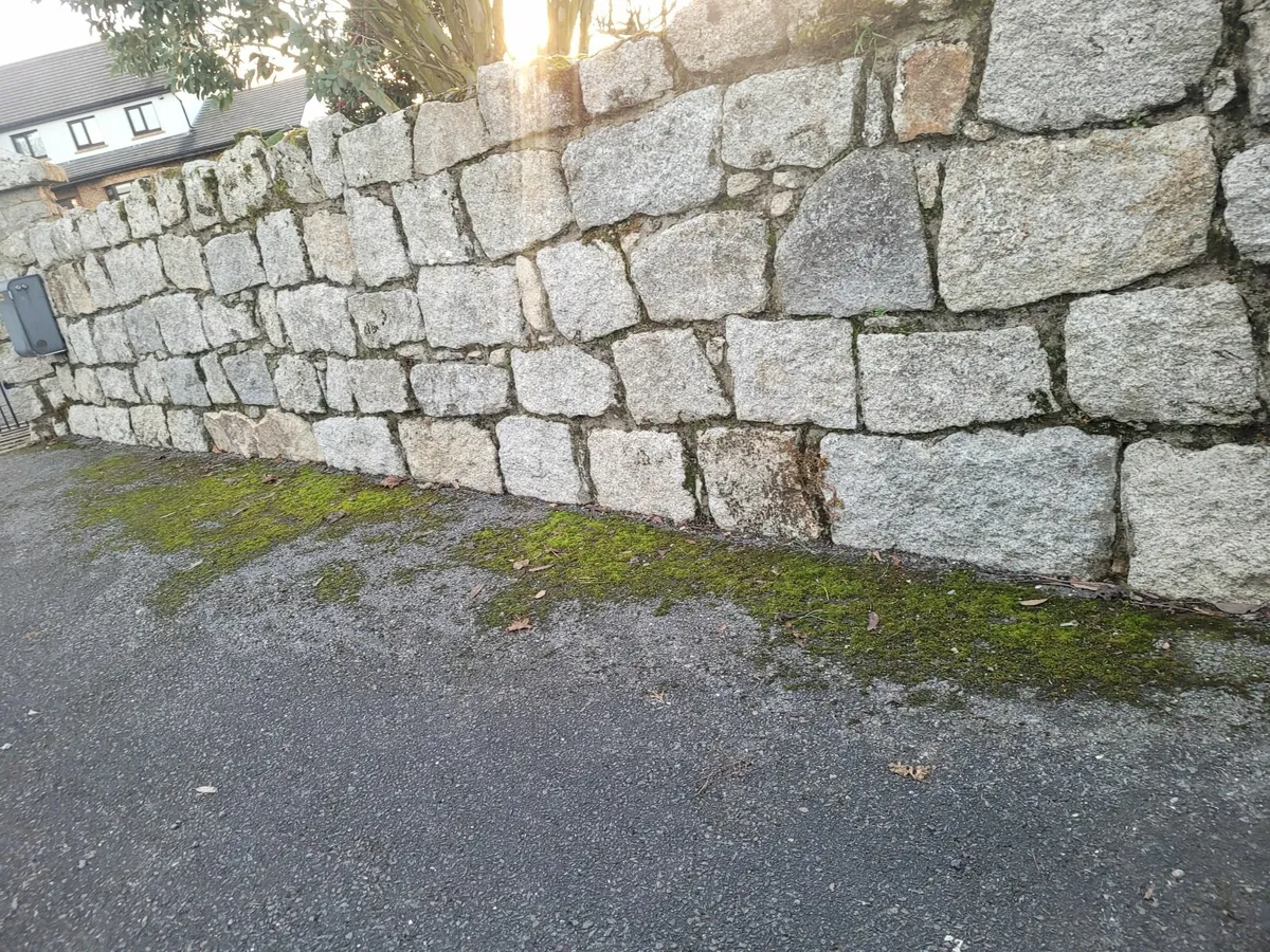 Contract Cleaning - Moss Removal - Image 1