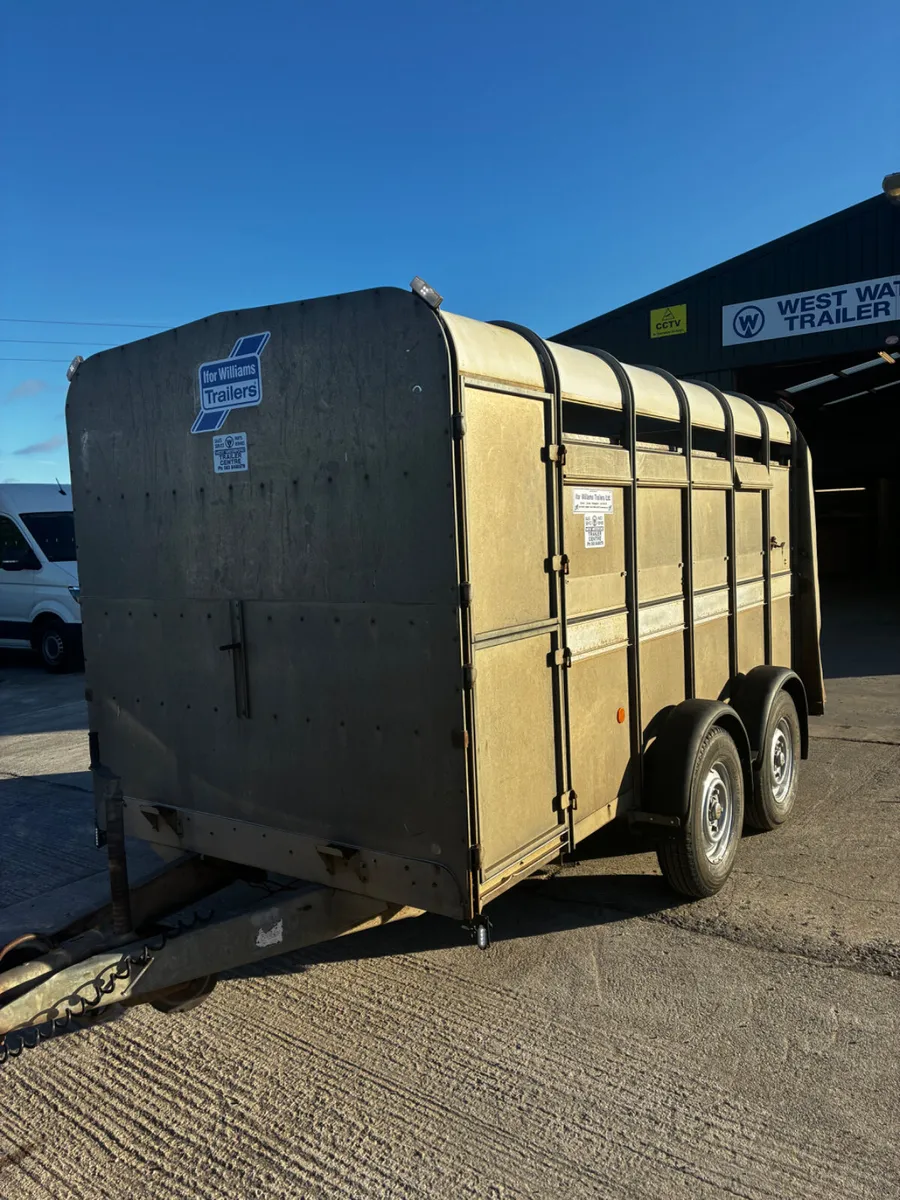 12ft ifor Williams livestock trailer - Image 2