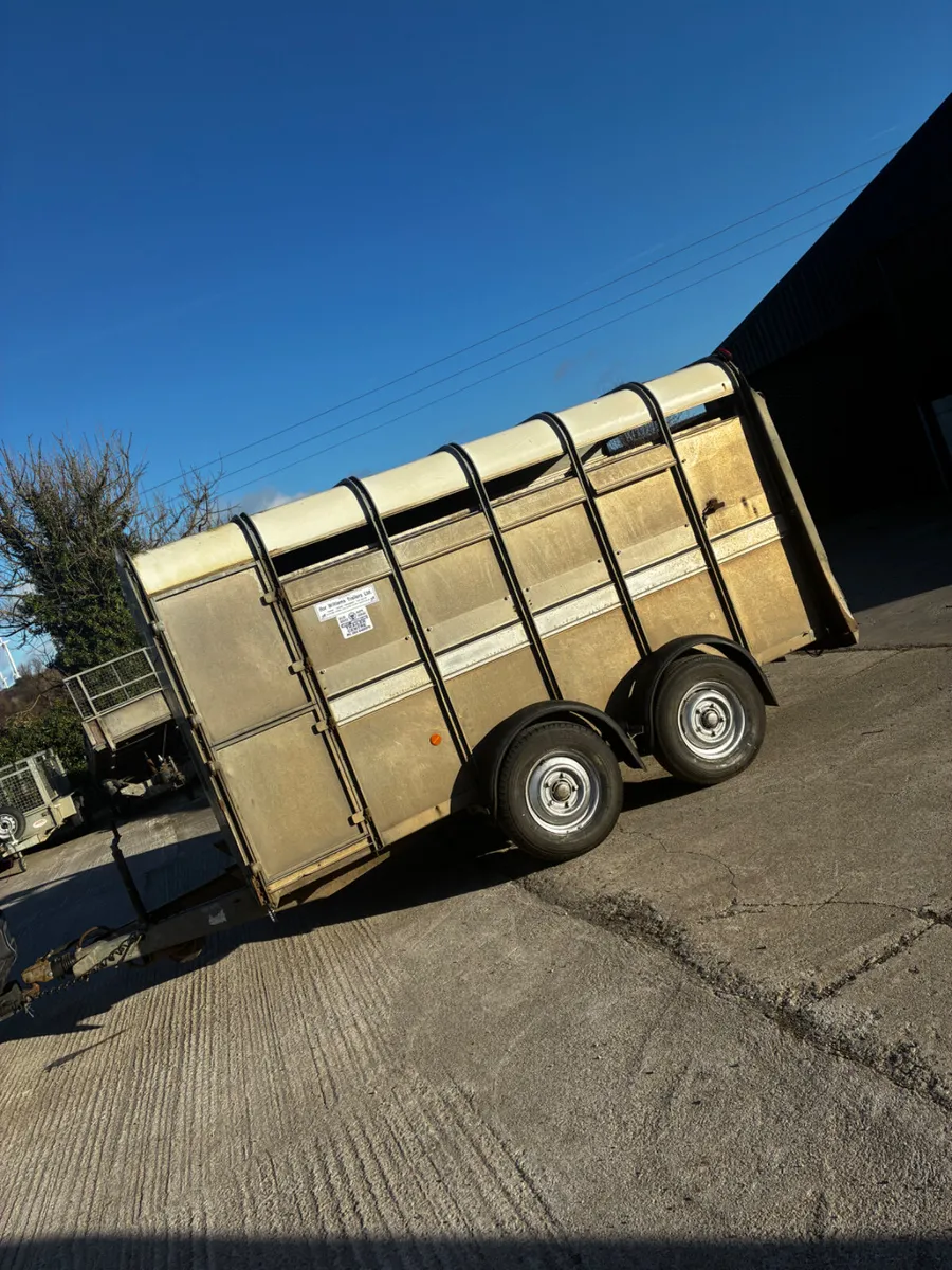 12ft ifor Williams livestock trailer - Image 1