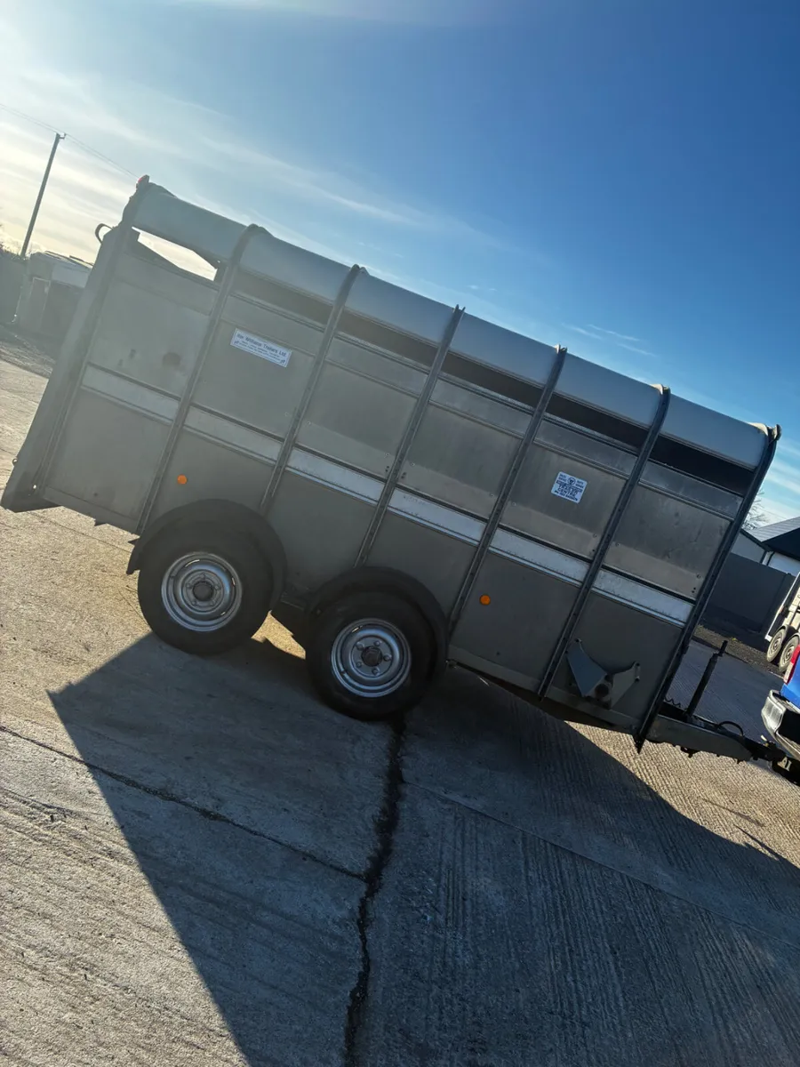 12ft ifor Williams livestock trailer - Image 4