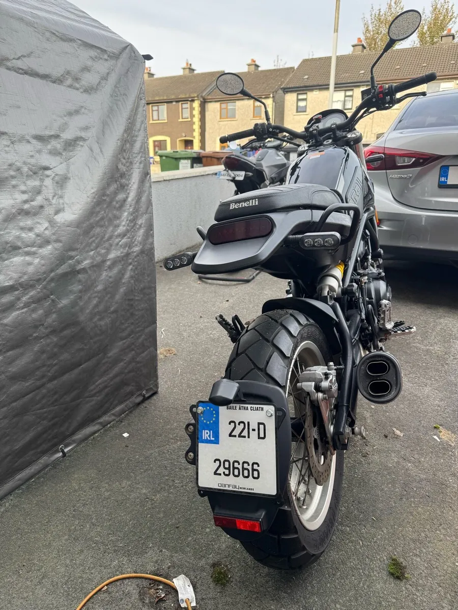 Benelli Leoncino 500 - Image 4