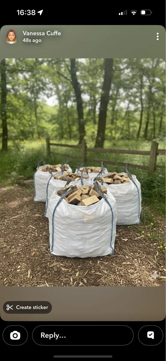Firewood - Image 1