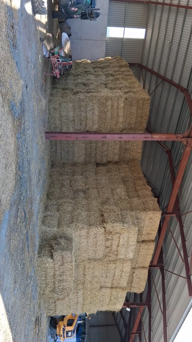 8/4/3 Barley and wheaten straw - Image 3