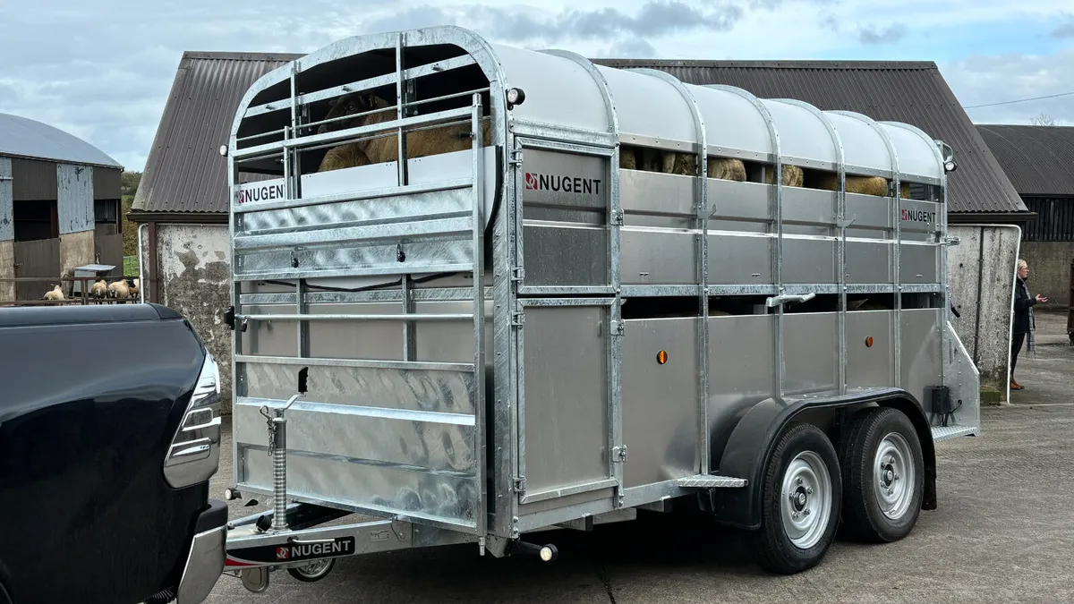 Nugent Sheep Trailer - Image 3