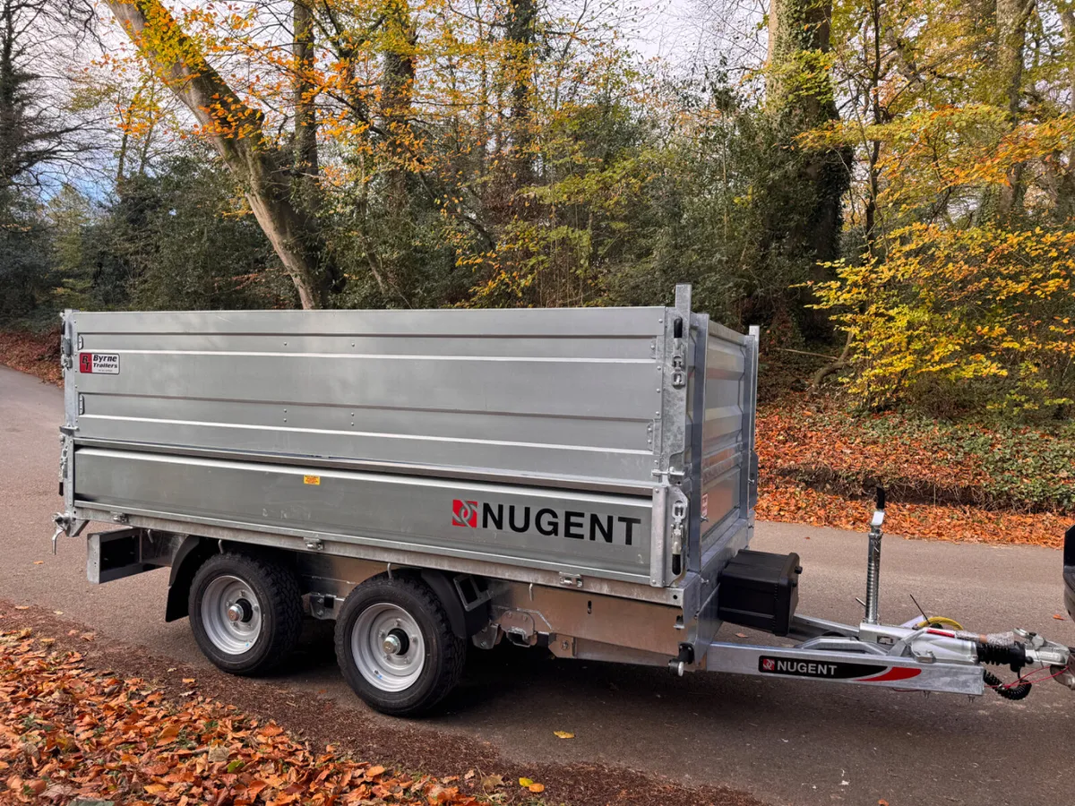 Nugent 10x6 Tipper - Image 3