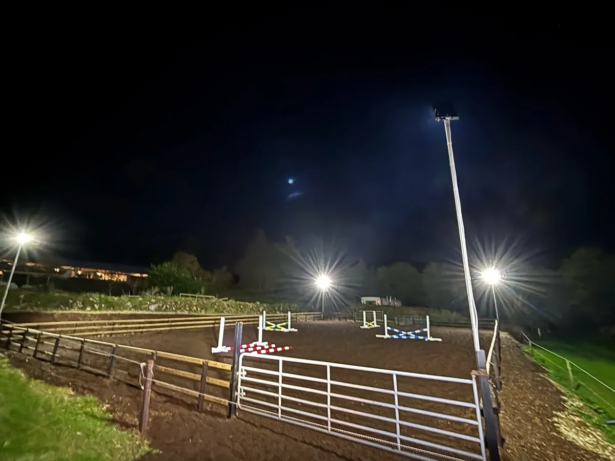 Livery/retirement Livery - Image 4