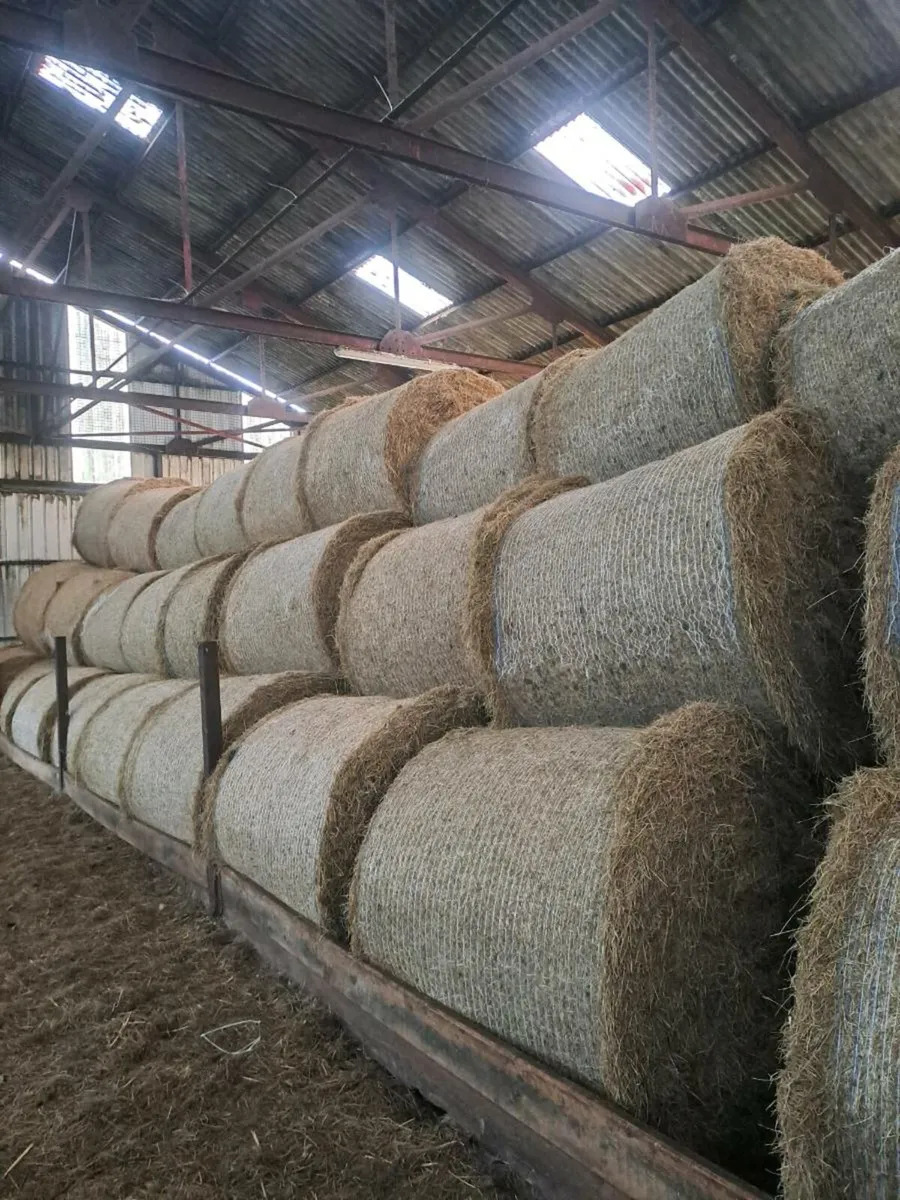Hay for sale - Image 1