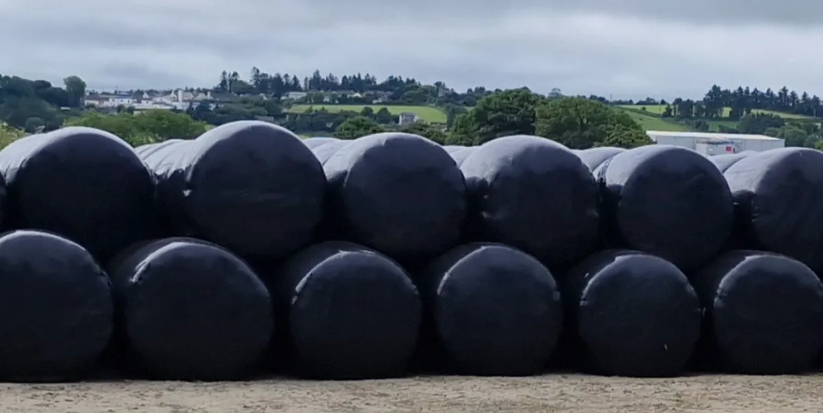 Hay, haylage, Silage,  Beet - Image 2