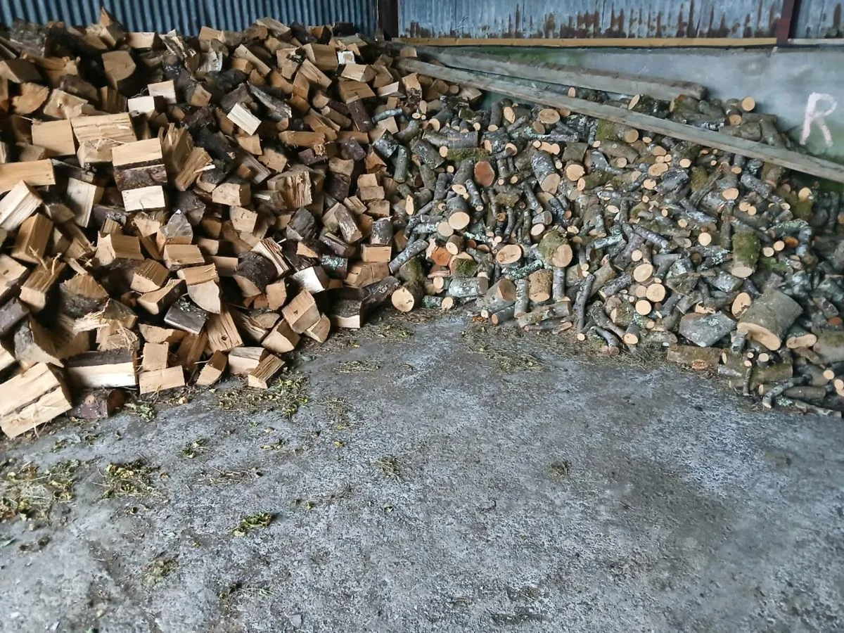 Firewood - Image 1