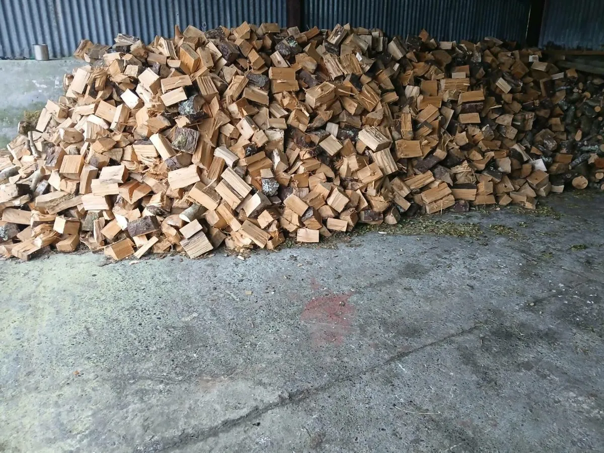 Firewood - Image 2