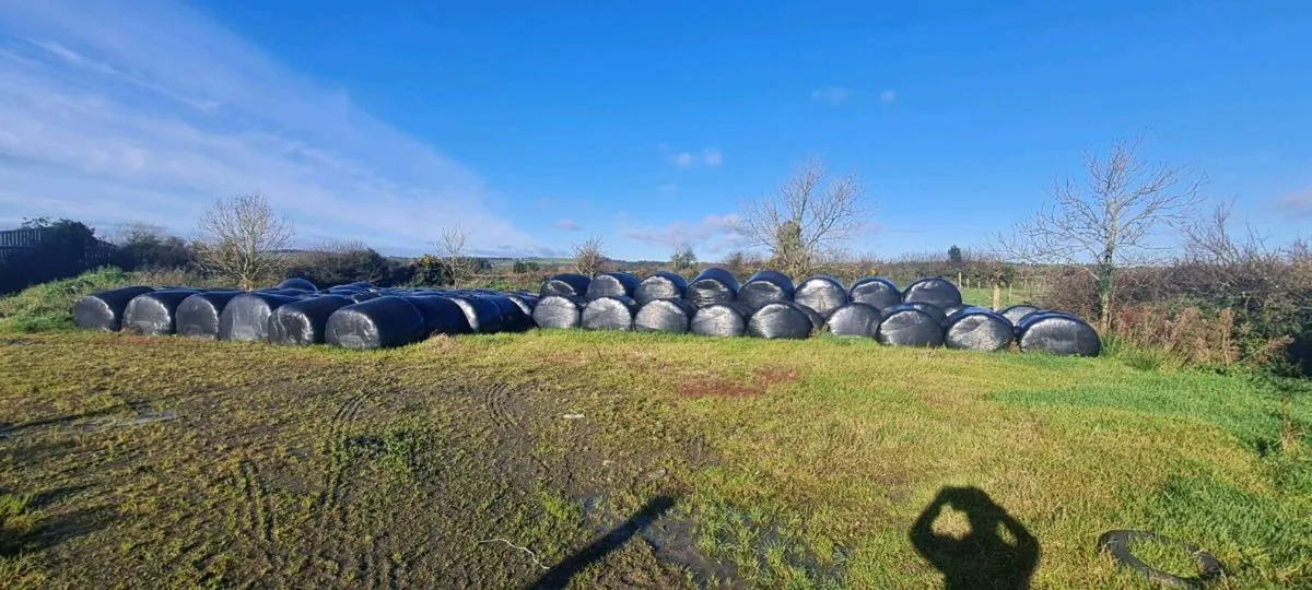 Silage Bales