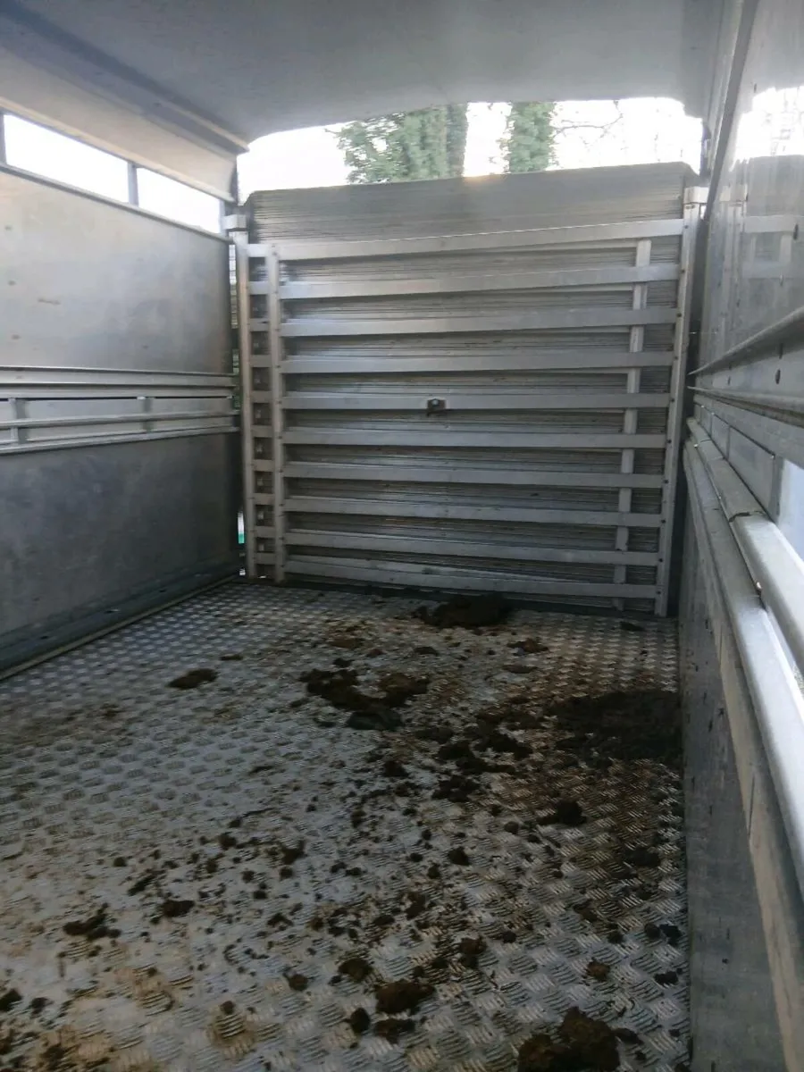 Ifor Williams 12ft tri axle ldemountable - Image 3