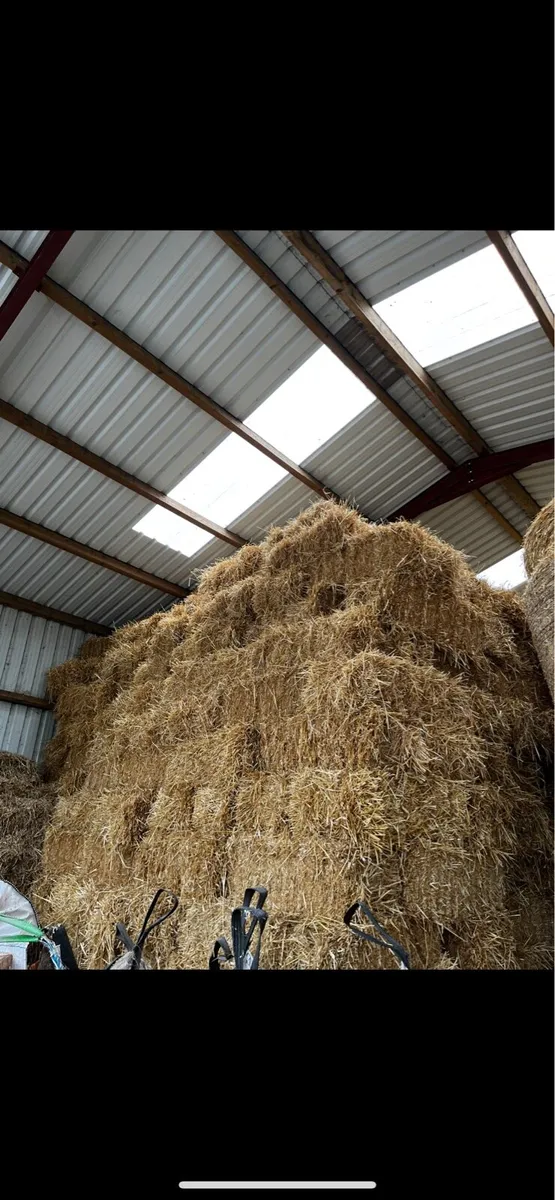 Small square bales of straw - Image 2