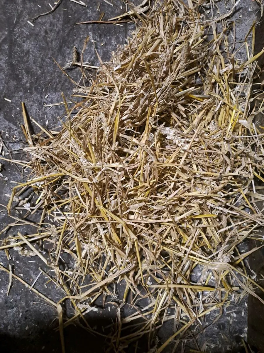Hay Haylage Straw - Image 4